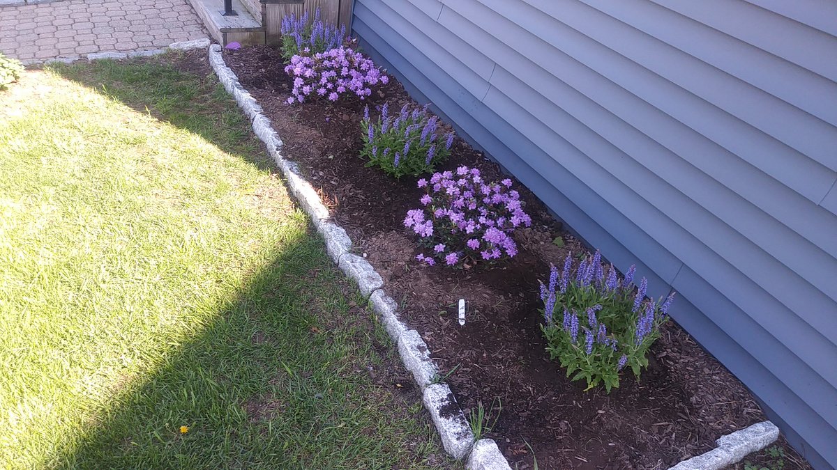 2018 Purple Promise Garden #FiveForFive #MemoriesCount #KickAlzInTheBallz #ENDALZ