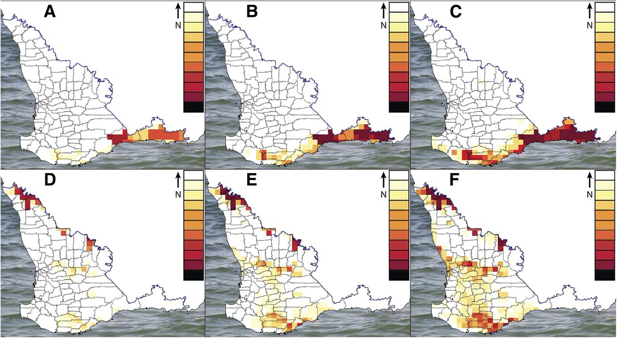PlantDiseaseJ's tweet image. #featurearticle: Plant Virus Epidemiology: Applications and Prospects for Mathematical Modeling and Analysis to Improve Understanding and Disease Control #openaccess apsjournals.apsnet.org/doi/full/10.10…