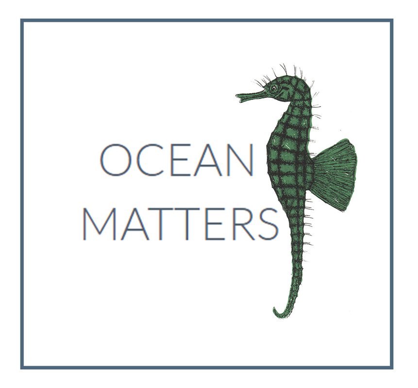 bristolecojam's tweet photo. Over the weekend of the 26-27th May, @OceanMatters will be working with the Bristol Aquarium's May Half-Term campaign 'The Big Blue' to talk about all things plastic. Find out more here: https://t.co/RiF8hopRlo #OceanMatters #TheBigBlue #Environmental #Sustainability #Bristol https://t.co/GmC203rQuL