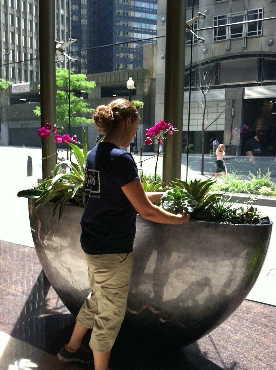 CityscapesInc1's tweet photo. Cityscapes is growing growing growing! Come to our #careerfair and join our amazing team! #horticulturejobs #gardeningjobs #hiringboston #recruiting #landscaping #landscapejobs #bostongigs #careerfair #jobfair Apply Here Now: https://t.co/ONT0nqXUd6 https://t.co/EJkRu7ZsAk