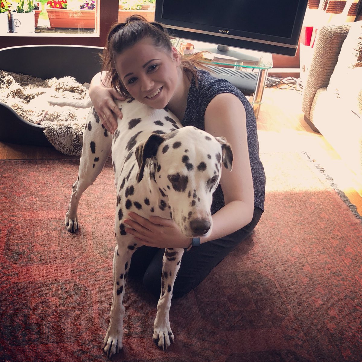 fitt_lea's tweet photo. Getting my Dalmatian fix 😍😍🐶 #dalmatian #dog #love https://t.co/wDrMk5XQzt