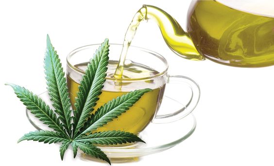 MMJDOCTORONLINE's tweet photo. It is #cannabis tea time ♥ https://t.co/gjEUuA11KH
