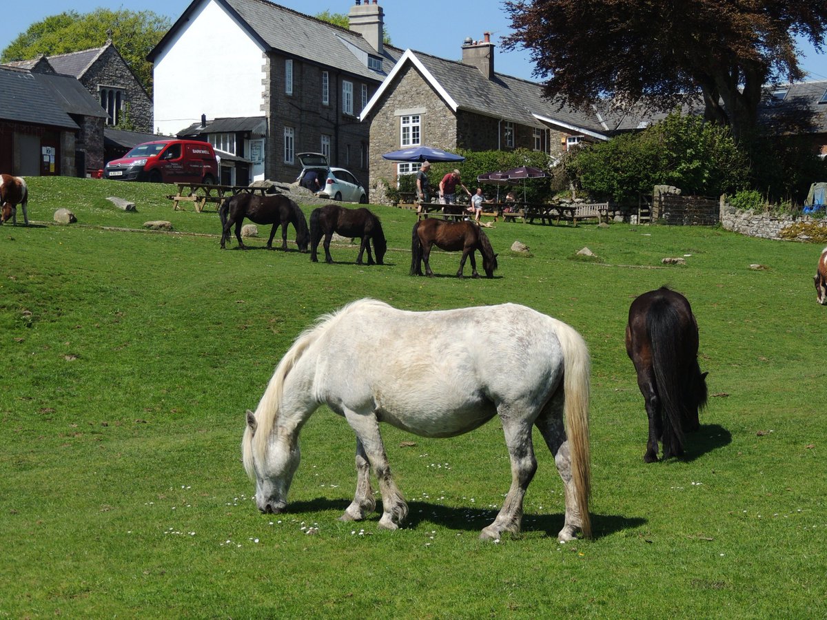 VoganKevin's tweet photo. What a fantastic Bank holiday weekend at @thetorsinn @belstonevillage  A BIG Thank you to our staff members who worked their socks off and a special thank you to all our customers who visited us keeping a wonderful Moorland Inn alive. The Landlord. https://t.co/6yCxcApSmT