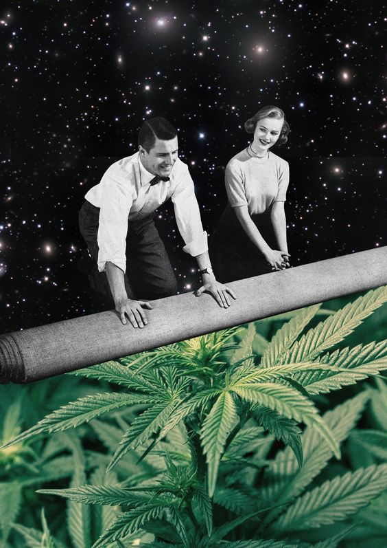 MMJDOCTORONLINE's tweet photo. Roll up #Weed https://t.co/oDBvBDiWZA