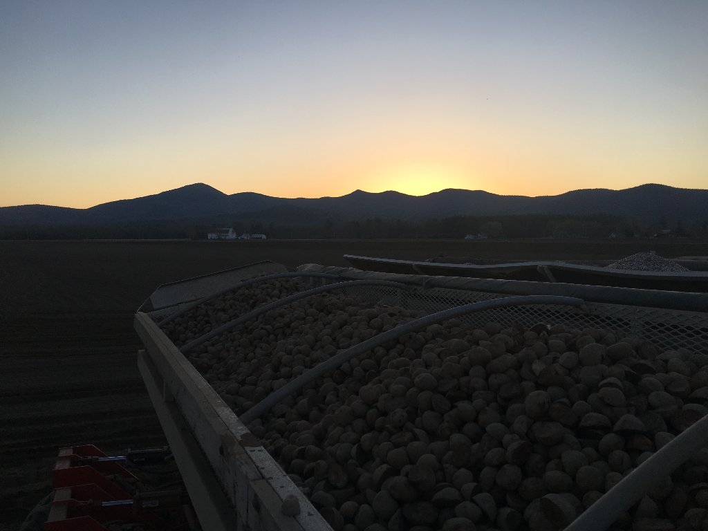 greenthumbfarms's tweet photo. Potato planting has begun!  The crew successfully planted 75 acres yesterday and started back up early this morning. https://t.co/H4zb1NZIm5