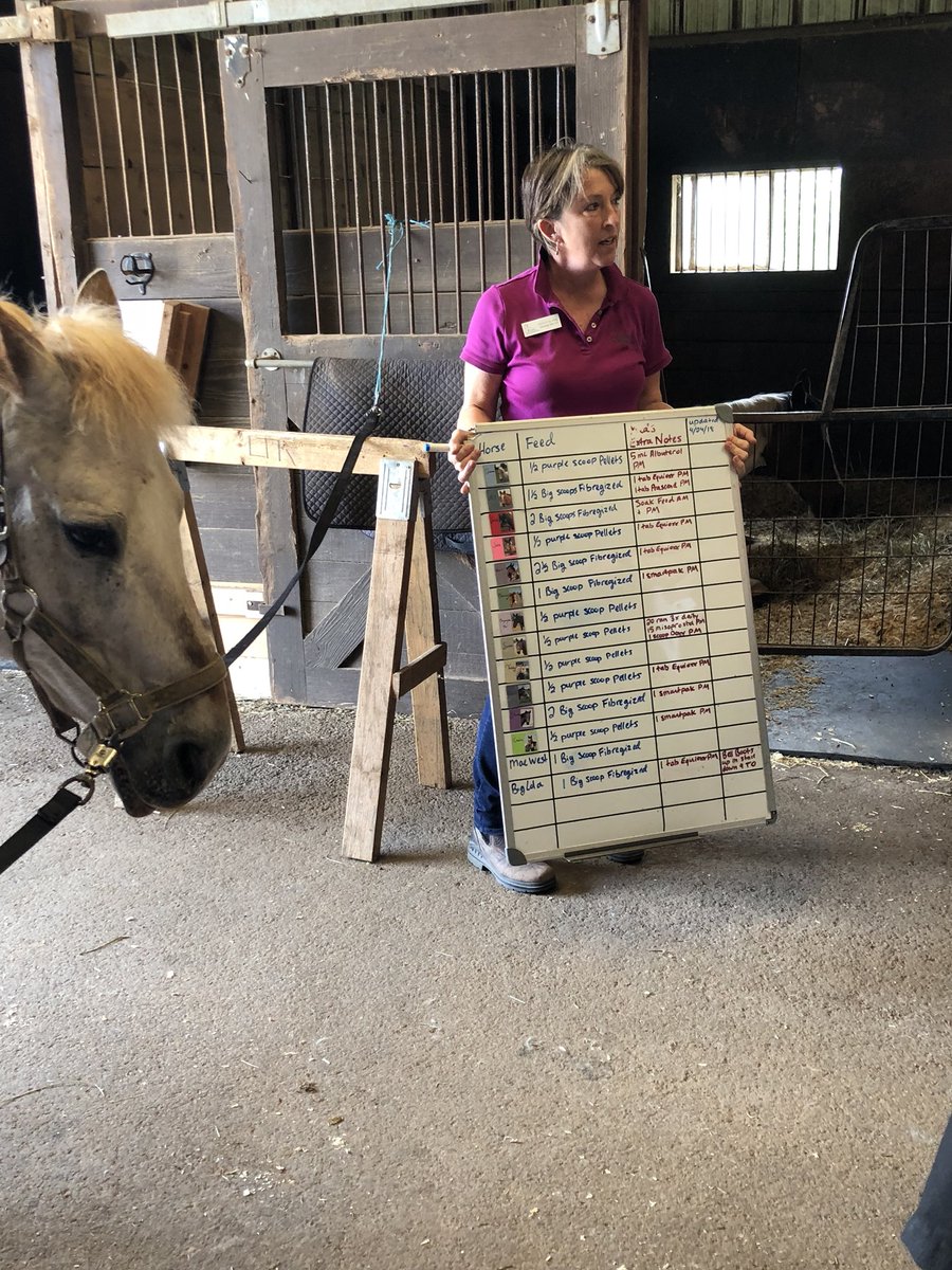 MTC_VetScience's tweet image. Nutrition for Equine @ LTR!