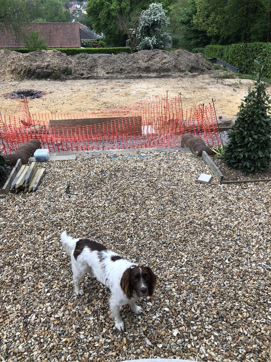 crgroundwork's tweet photo. We’re back in Romsey to continue the huge garden project with #avizestructuralengineering and #tealsgardeningservices. Lots to do here so we’ll keep tweeting! #colinrogersgroundwork #dogwonder https://t.co/EDMbvQ9ljT