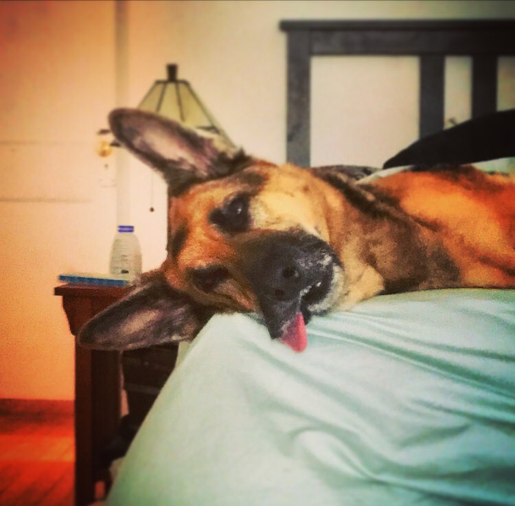 When the unisom hits