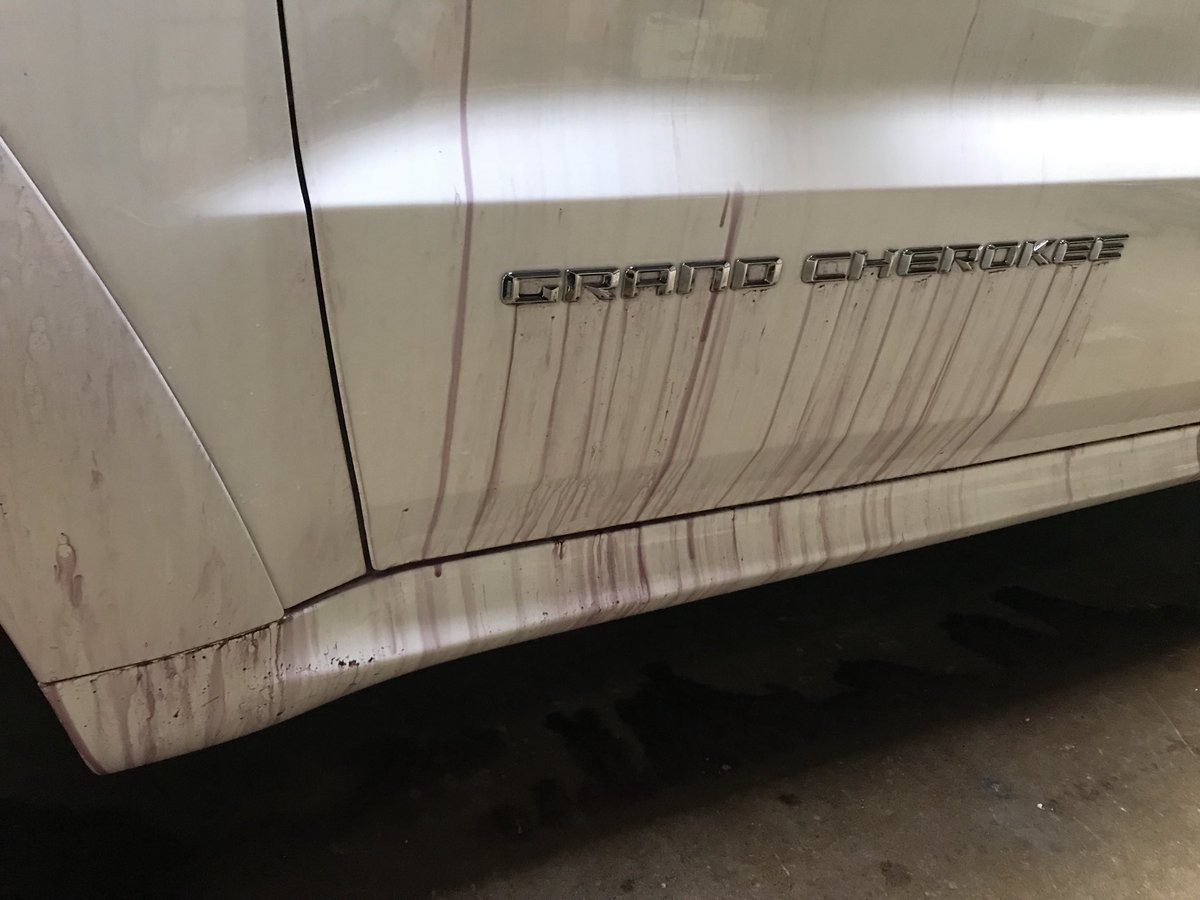 LUSTRDetail's tweet photo. First job at the new shop was a major pain, but cleaned up really well.
#lustr #lustrautocare #lustrdetail #paintcorrectionchicago #paintpolishingchicago #ceramiccoating #paintcoating #cquartzprofessional #chicagoppf #suntek #xpel #3m #premiumdetailing #chicagodetailing #jeep https://t.co/MvQpJ8xf3J