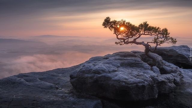 ComeUnaCarezza's tweet photo. C’è nel giorno un’ora serena che si potrebbe definire assenza di rumore, è l’ora serena del crepuscolo.
(Victor Hugo) https://t.co/TJsAVKLP7z