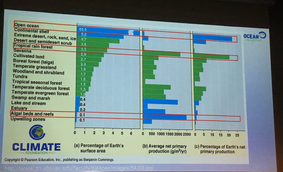 On the potential of seaweed to mitigate #climate change: “To capture more of global carbon emissions we need more Ocean Rainforests”, says <a href="/OlavurG/">Olavur Gregersen</a> from <a href="/RainforestOcean/">Ocean Rainforest</a>.