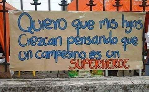 fabian_bolano's tweet photo. Quiero que mis hijos crezcan pensando que un campesino es un Superhéroe https://t.co/2tCfmDLAfp