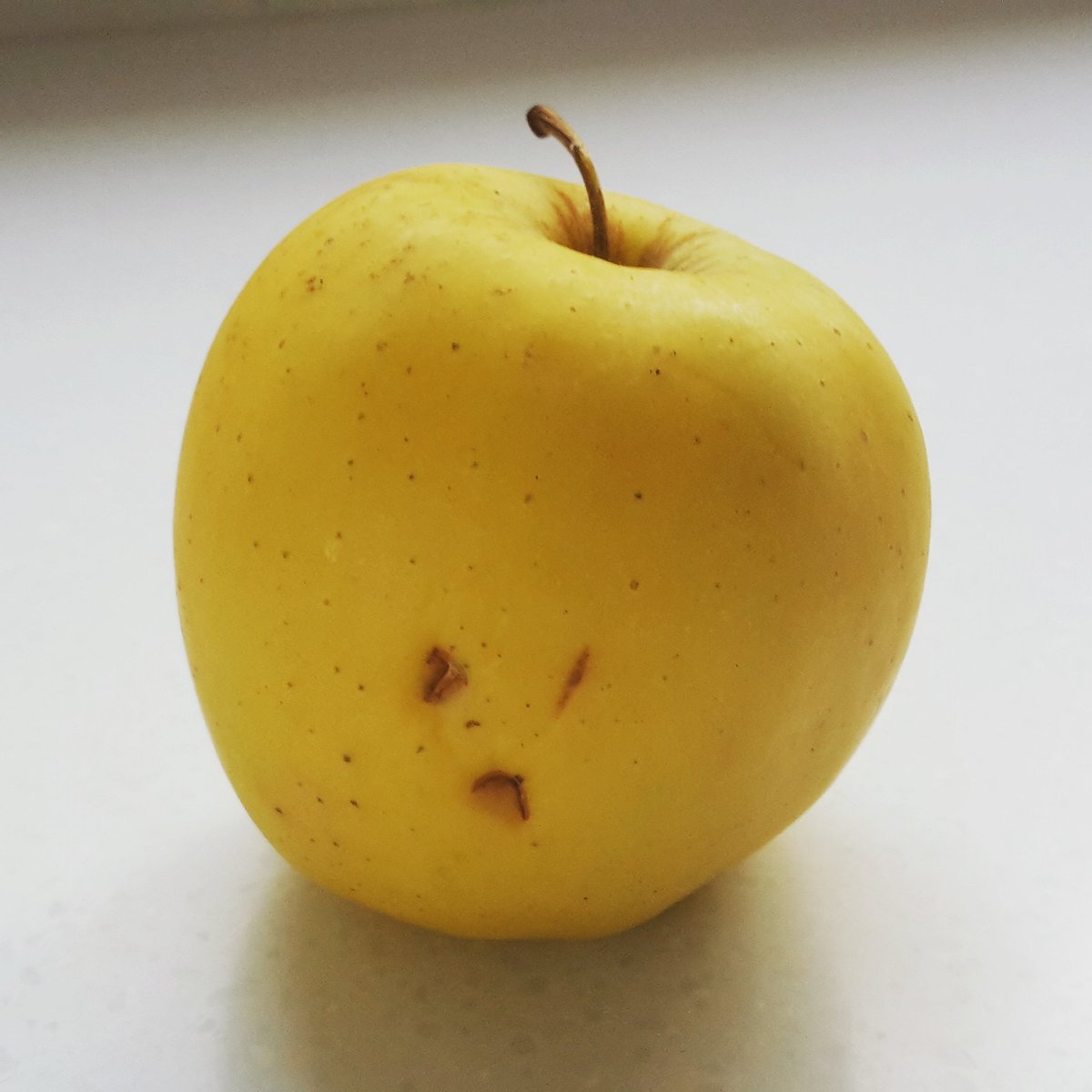 ydsYvette's tweet photo. Never before have I seen an apple so distraught at the prospect of joining some rhubarb in a crumble. #sadapple https://t.co/Es4YVwlkml