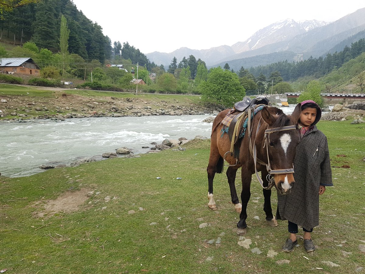 charukesi's tweet photo. "Shahid hai naam mera. Nahi, Shahid Kapoor nahi. Sirf Shahid. Yaad rakhoge?" - cheeky is as cheeky does #Srinagar #Kashmir #childhood #kidsofkashmir https://t.co/kZHDAcCW9u