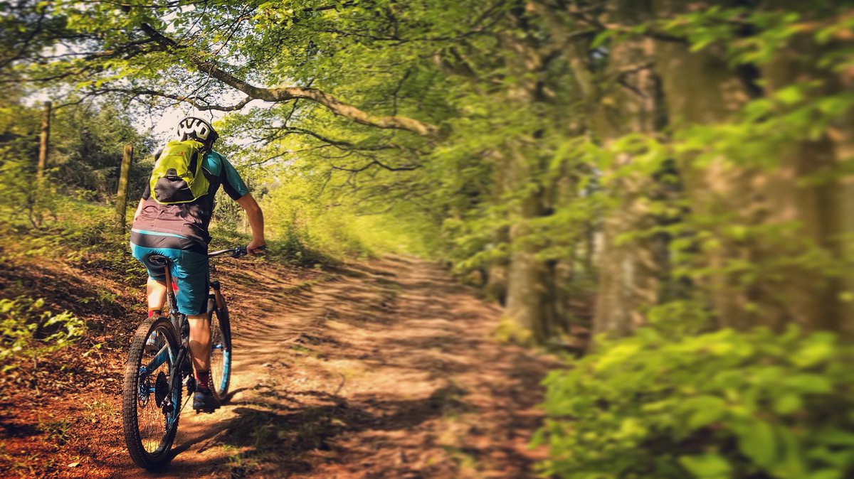 mtbcymru's tweet photo. Beautiful evening sunshine and a stunning avenue of green leaves at Hopton Woods #justride #mtb #ridemadison #cycling #mountainbike https://t.co/pmffhZkc7l