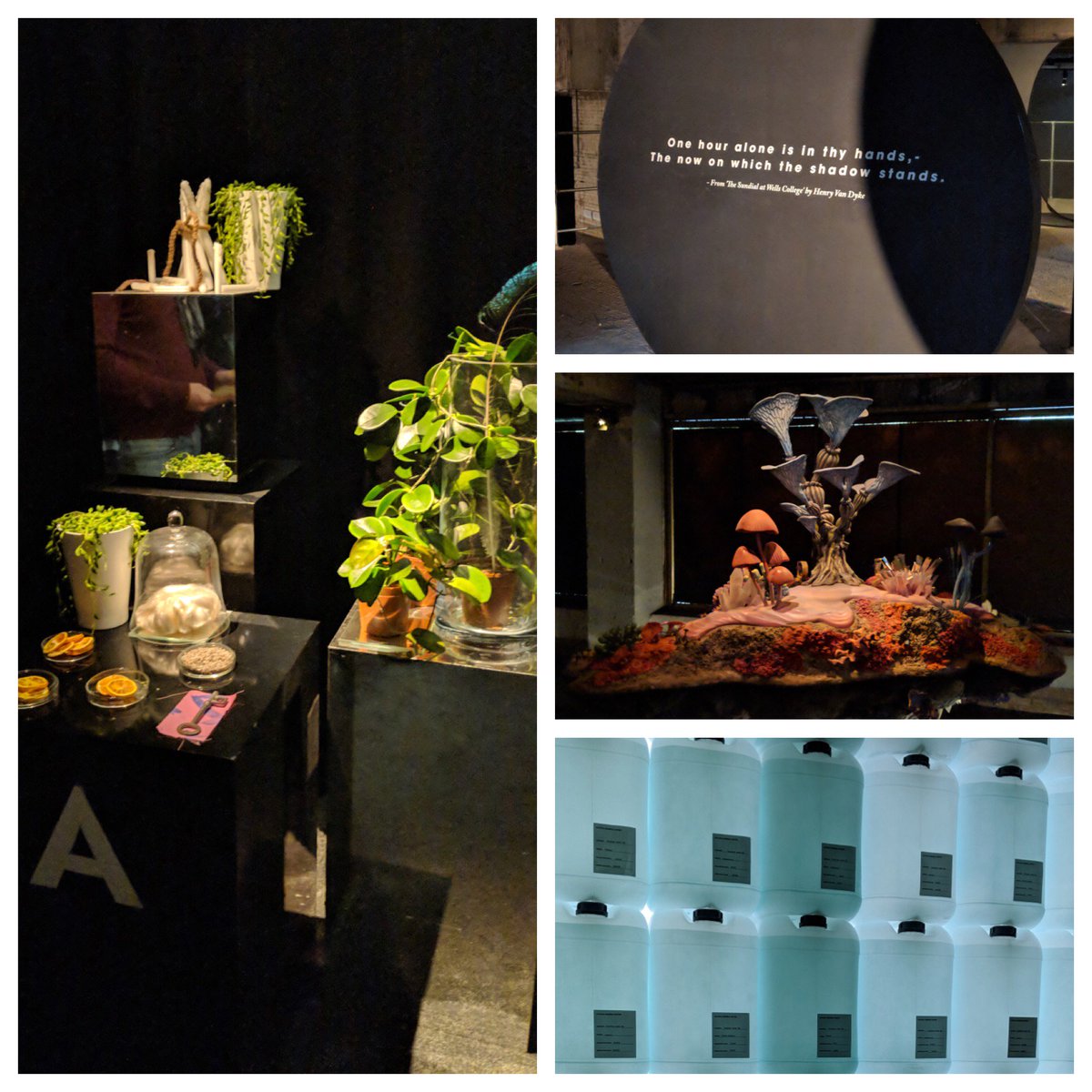 AbbeyClemens's tweet photo. Now this is what multi-sensory is. Brands after a sensorial experience could learn a lot by visiting The Flipside. Plus, a great way to get people trialling the new Google Pixel 2  #teampixel #selfridges #brandexperienceoftheweek https://t.co/JpXzMGj48z