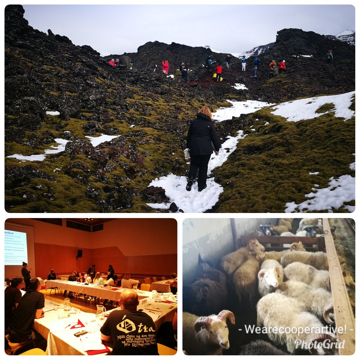 icbobbio's tweet photo. In #Iceland now for @Erasmus_Project  #ka1 course about #outdoorlearning #Softskills #integration  #cooperativelearning 
@ErasmusPlusInd. Ready for the dissemination on the 19th in #travo #activemethods https://t.co/WPvrkFqn5U