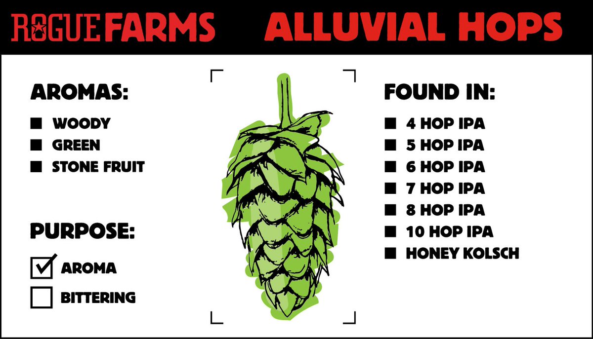 RogueAles's tweet photo. Get to know the 10 Hops that makeup 10 Hop IPA.
Alluvial Hops were one of the original hops planted at @RogueFarms and can be found in #4HopIPA, #5HopIPA, #6HopIPA, #7HopIPA, #8HopIPA, #10HopIPA and #HoneyKolsch. https://t.co/7jixQnfRDR https://t.co/8OETxuKWMR
