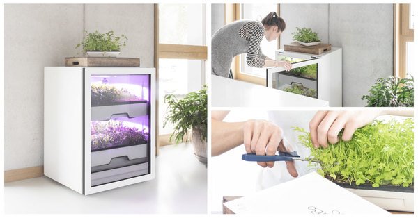 EnerdBamboo's tweet photo. Ein tolles Projekt unserer Partner aus #München. Checkt das aus:  https://t.co/4WyJMN8QY3 #ErnteZuhause https://t.co/erLdf3nPZ3
