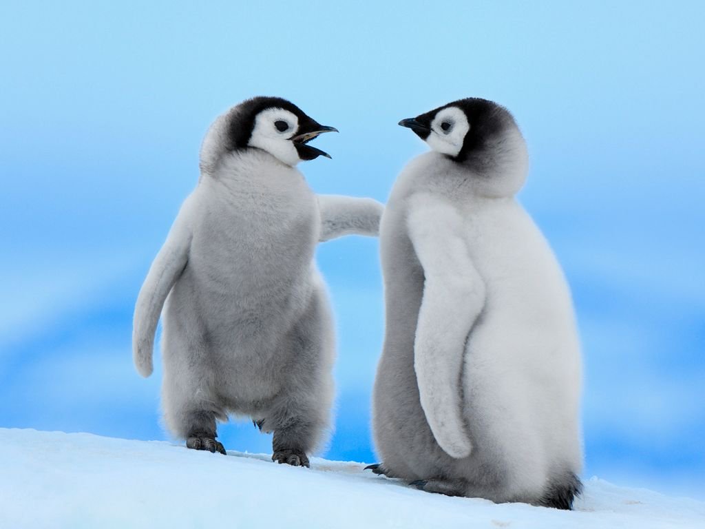 Business for two bij De Netwerkvloer Emmen! Met wie ga jij de uitdaging aan?

Meld jezelf en je zakenpartner aan op buff.ly/UCs5xH