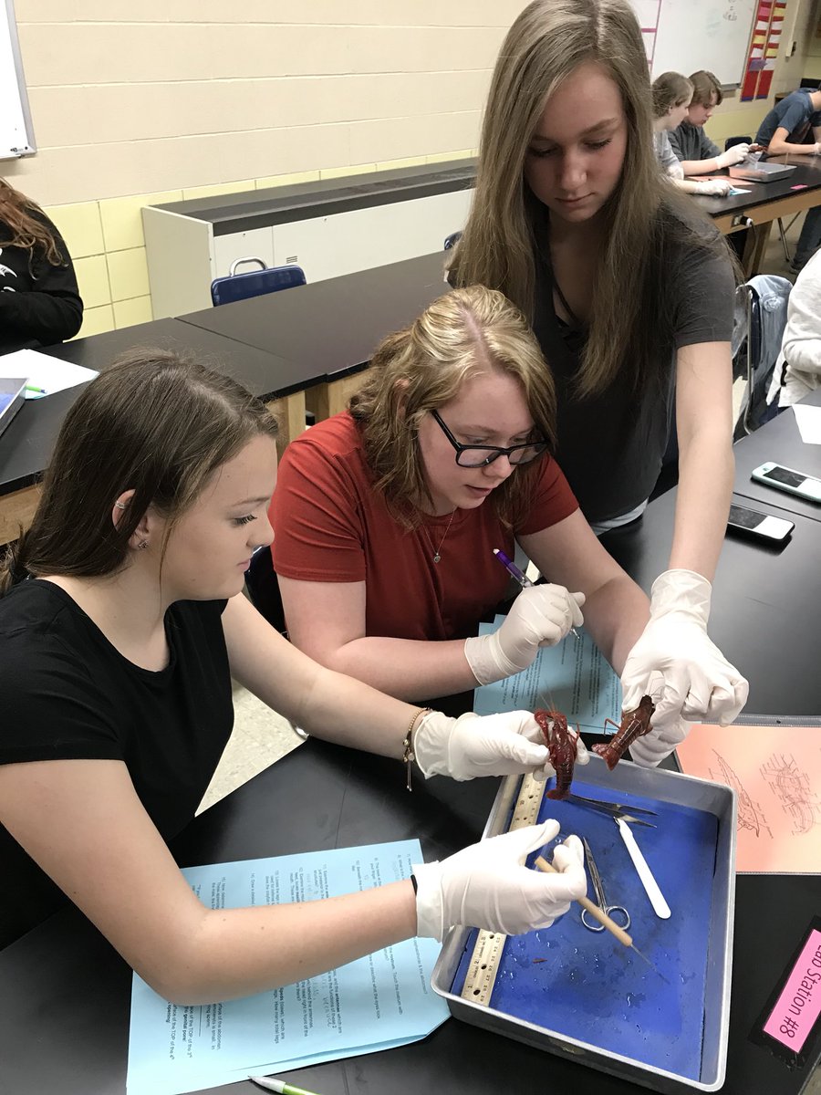 merrill307's tweet photo. Investigating a crustacean! 🦀. #WeAreFirebirds https://t.co/heAD415Kc3