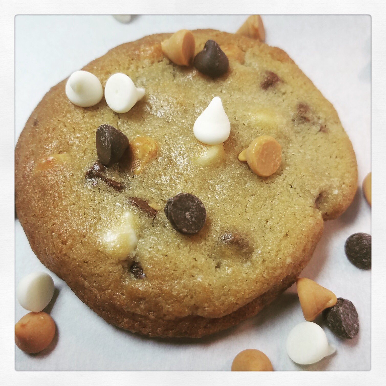 Download The Cookie Jar Bg On Twitter Triple Chip Traditional Buttery And Sweet Vanilla Dough With White Chocolate Butterscotch And Semisweet Chips Cookieoftheday Bgsu Https T Co Ewppapcja2