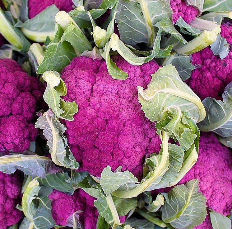 DrEjikeme's tweet image. What does skin food look like? It should be fresh, vibrant coloured and cooked to preserve the vitamins, nutrients and antioxidants #Goodskin starts with #goodfood #DrEjikeme #yummy