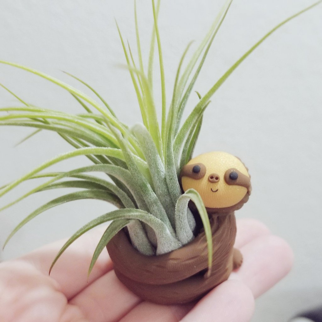 Did you forget about Mother's Day? Have nothing planned?
There's still time to get her a sloth she can hold in her hand!
.
.
.
#funusualsuspects #sloth #sloths #tillandsiatuesday #tillandsia #airplant #plantholder #plantstyle #cutesloth #mothersdaygift #etsyshop