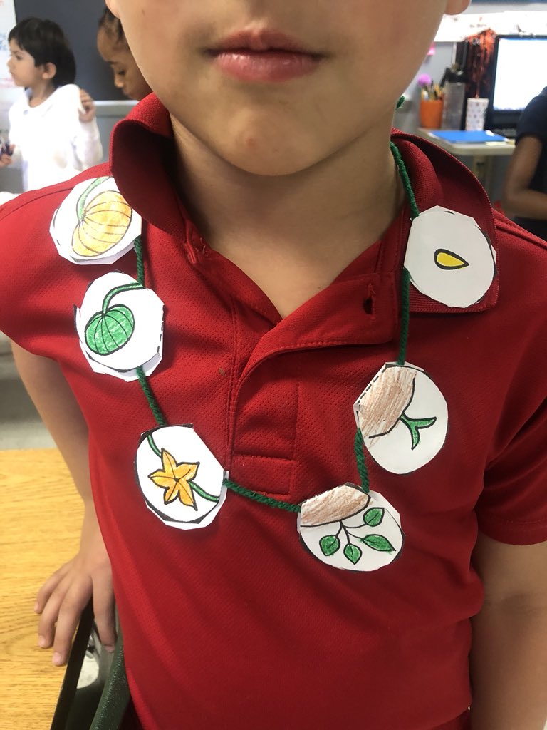 MidMathMsParker's tweet photo. This week in the #OutleyScienceLab, The kinder kids are learning about plant life cycles and making pumpkin life cycle necklaces. 🌱🎃 @OutleyE @AliefScience #ScienceArt #ArtsAndCrafts #KindergartenScience https://t.co/Os6ILfgftj