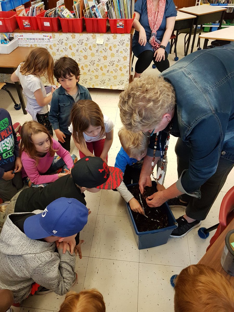 Monica Harding tweet media