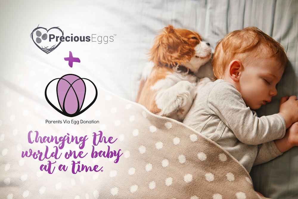 PreciousEggs is proud to sponsor Parents Via Egg Donation @pved. Celebrating their 10 year anniversary, the PVED community touches the lives of over 10,000 intended parents every year. Learn more about this resource here: pved.org. #eggdonation #donoregg #ivf