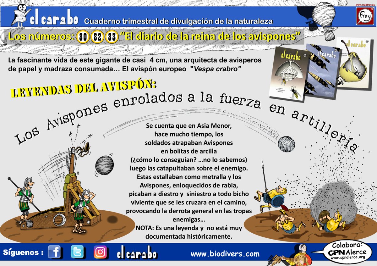 ¡Cuenta la leyenda que....! 🐝🐝
#cárabo 80,82,83“El diario de la reina de los Avispones”  Avispón europeo"Vespa crabro"3 cuadernos,pidelos en: carabo56@gmail.com
#carabo80 #carabo82 #carabo83  <a href="/yo_Fray/">Fray</a> <a href="/CPN_Alerce/">CPN_Alerce</a>