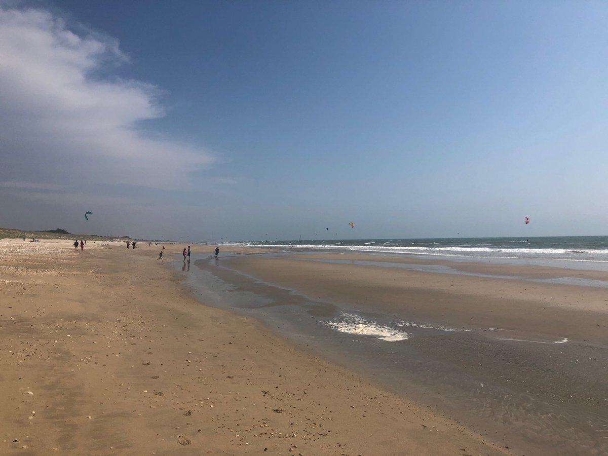 Springhill Seahouses tweet media