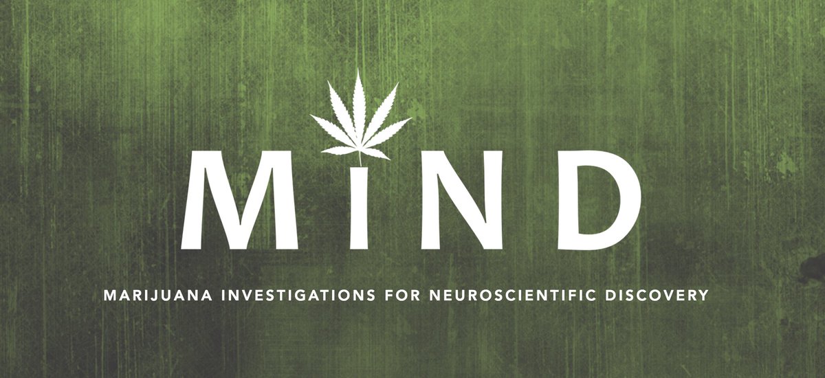 Dr Staci Gruber Such A Pleasure To Chat With Bgstanleybros Sort Of A Mini Weed Reunion Thanks To Drsanjaygupta Mcleanhospital Mind T Co Prxceidbjw