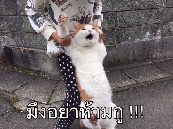 jong_19mo's tweet photo. @_jxnj  https://t.co/0ToVNpMKDp