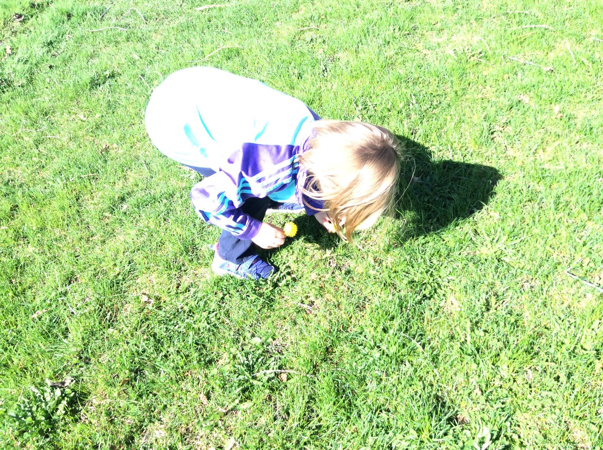 SallyMcKay2's tweet photo. Learning about nature at its finest! #STMTCourtice #PVNClearns https://t.co/NxgMKqvdQ3