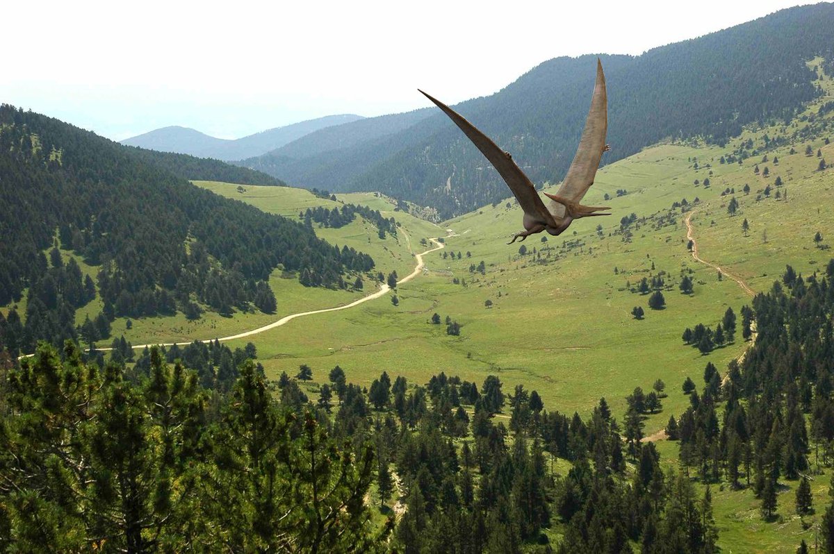 Si aquest tuit arriba a 1714 RT no passarà res. Bé, només ens inflarà l'ego i vosaltres tindreu una bonica postal rourenca al vostra TL.