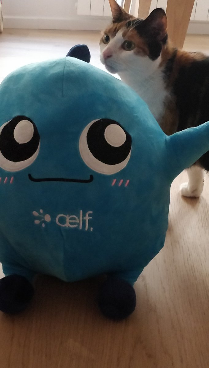 My #aelfiego just arrived in #Paris. Getting through "cat border patrol" inspection before it can join the family ! <a href="/aelfblockchain/">aelf</a>