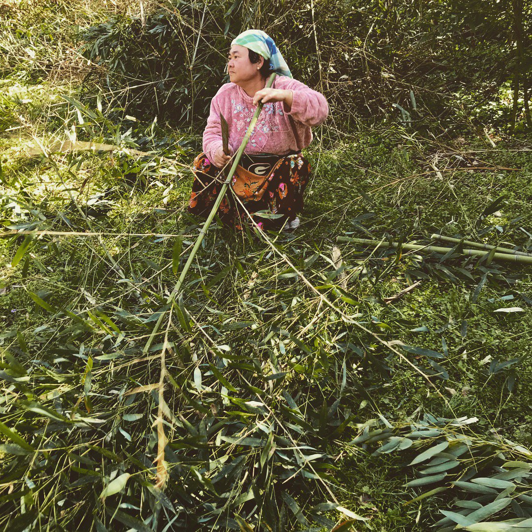 FreshHarvestga's tweet photo. The Jolly Avenue Garden is where the FH garden got it's start. Check out their campaign to support a refugee gardener in Clarkston. This is Elizabeth. $15 will fill that sweet UGA fanny pack with seeds! https://t.co/81zICfaPaZ #friendsofrefugees https://t.co/JdSpq521WG