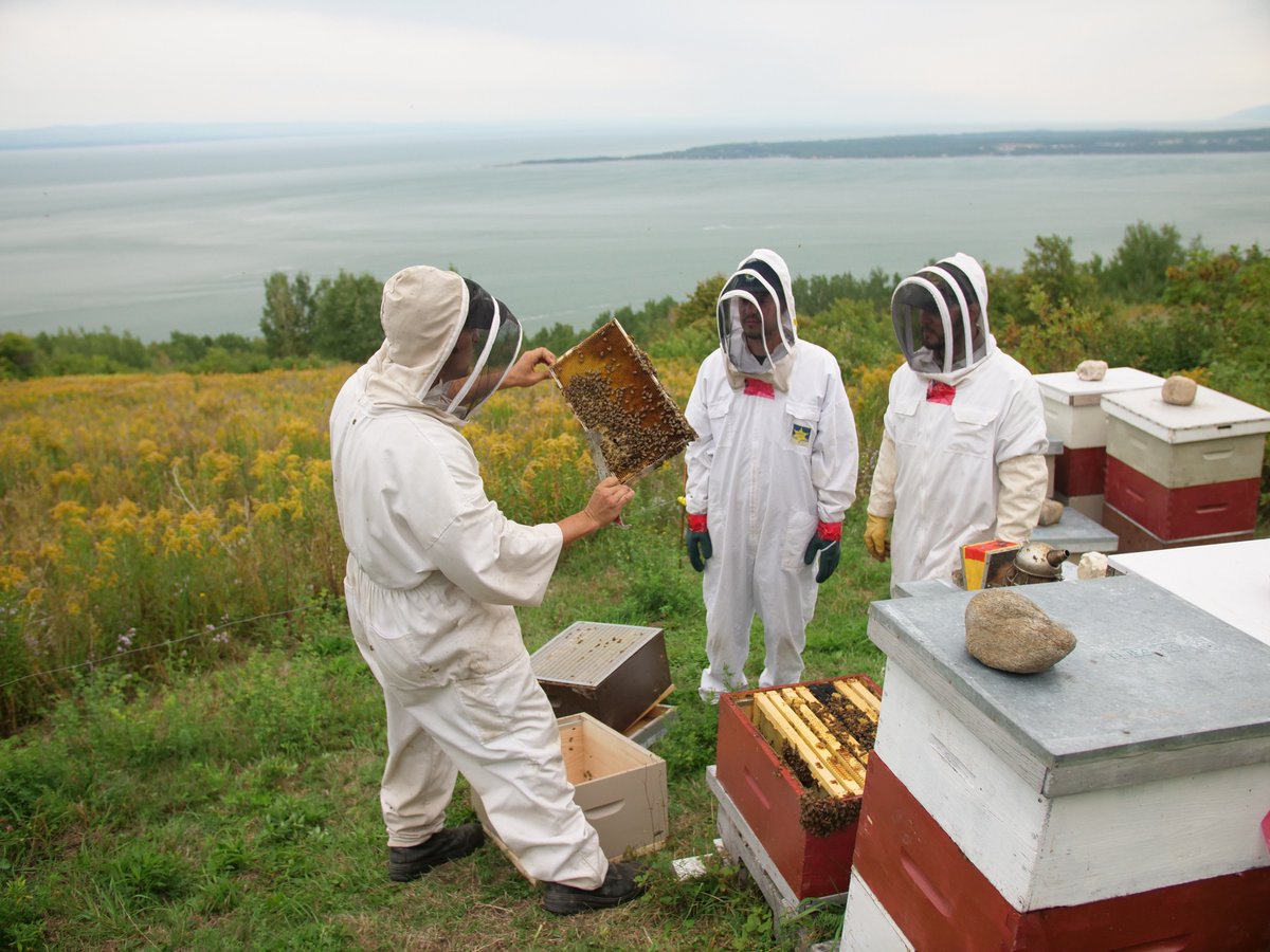 Julien de #GoVanMoment ne pouvait choisir meilleure destination que #Charlevoix pour partager de bons moments avec son frère. Partez à la rencontre des producteurs et chefs locaux le long de la #RouteDesSaveurs : youtu.be/72tc5kGbVvQ
#QuebecOriginal #ExploreCanada #VanLife