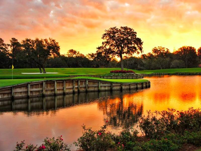 ShertheApp's tweet photo. About 1 day and 17 hours until group 1 tees off for @THEPLAYERSChamp! Over 1.4 million golf balls will be lost from now until then! #Countdown #event #interesting #fact #golf #playerschampionship @JustinThomas34 @JordanSpieth @DJohnsonPGA @WMurrayGolf https://t.co/j7hHBah9N0