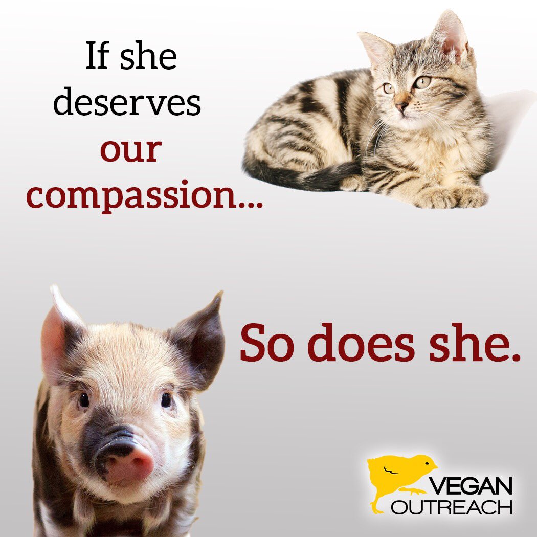 veganoutreach's tweet photo. https://t.co/qv4fXsWVOt