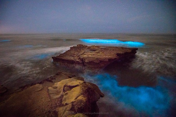 View image on Twitter