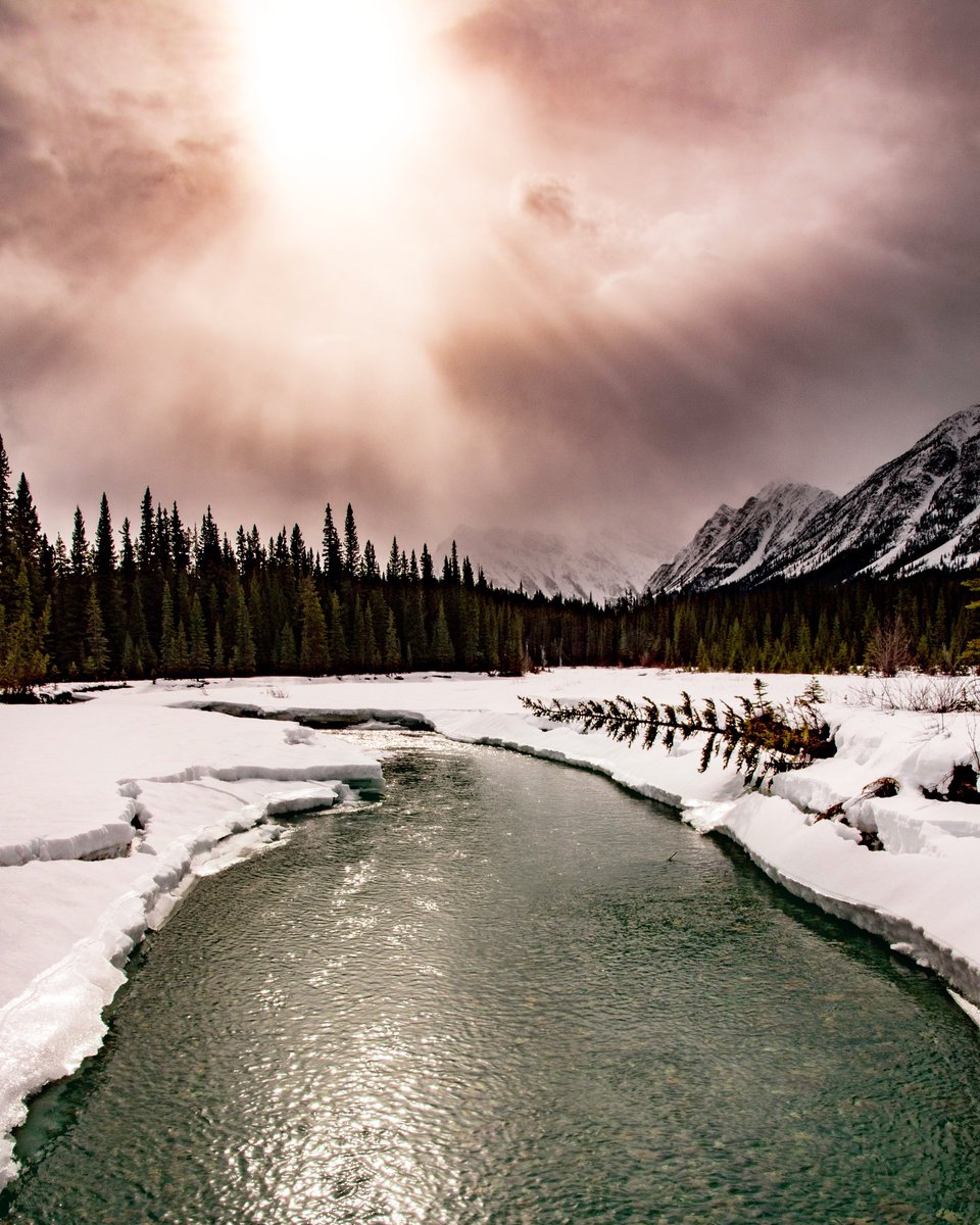 MountainManCole's tweet photo. Throwback to an amazing trip with amazing people, @alpineclubcan tour with @the_outbound_life @danny_gariepy_media @PowderMatt @RIDEGUIDELIVE @tourismalber #explorealberta #theoutboundlife #playoutside #mountains #rivers #paradise #livethislife https://t.co/XNeAPiMXBe