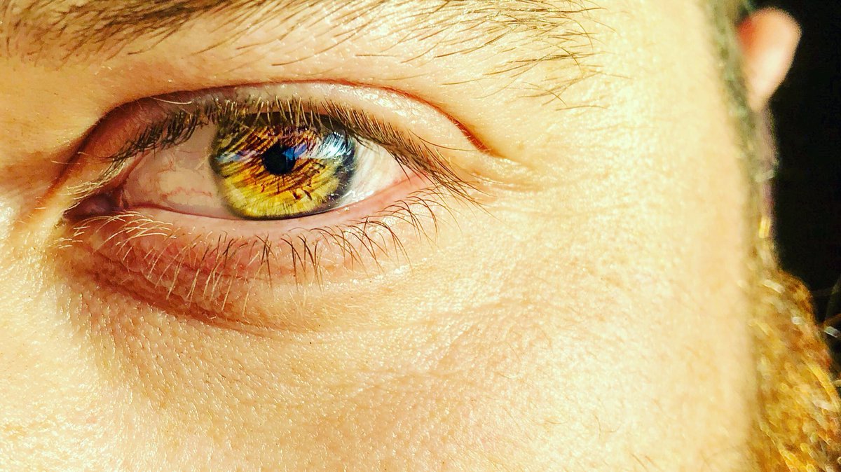MountainManCole's tweet photo. Perspective, what you see depends not only on what you look at, but also, on where you look from.  #eye #perspective #look #throughotherseyes #bekind #love https://t.co/cV2zJsresl