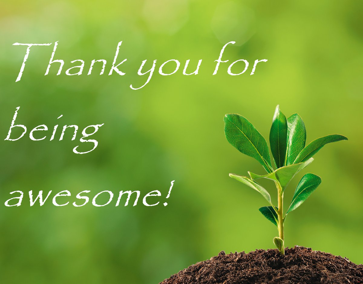 kinesio_uni's tweet photo. Thank you to all of our Instructors here at Kinesio University!! You all are very appreciated, more than you may know!! #TeacherAppreciationDay #CKTI #KinesioTape https://t.co/3ybCuoX2bt