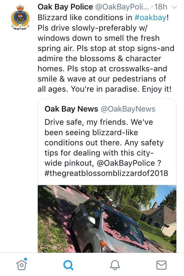 KirstenPlaying's tweet photo. Gotta ❤ the #playful @OakBayPolice with this strong warning ... #thegreatblossomblizzardof2018 
&amp; @OakBayNews

#playtoconnect #findthefun #banishboring #engagement #levity #Laugheveryday https://t.co/SEtoHiHqyn
