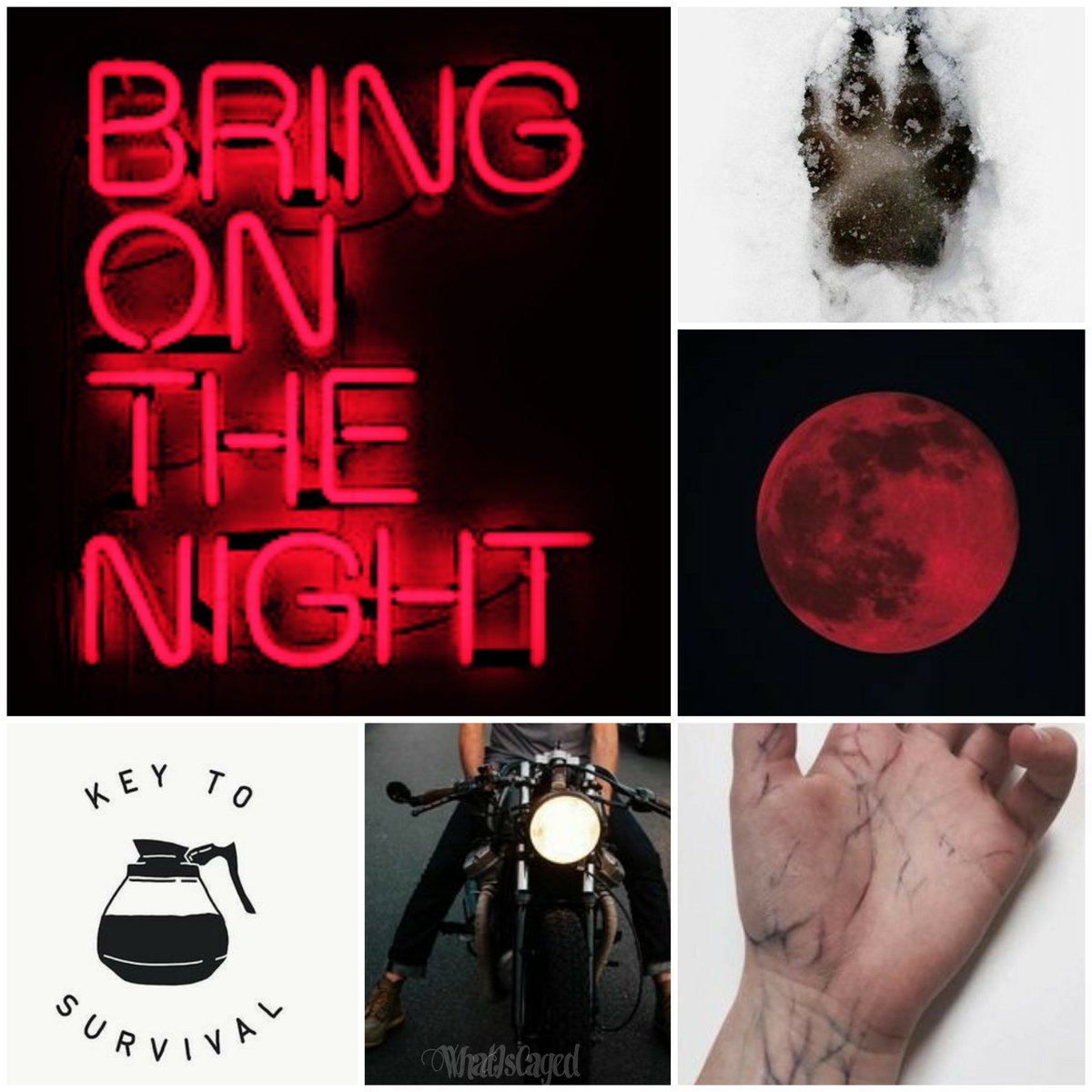 "ᗩ ᗯOᒪᖴ Iᑎ Sᕼᕮᕮᑭ'S ᑕᒪOTᕼIᑎG."