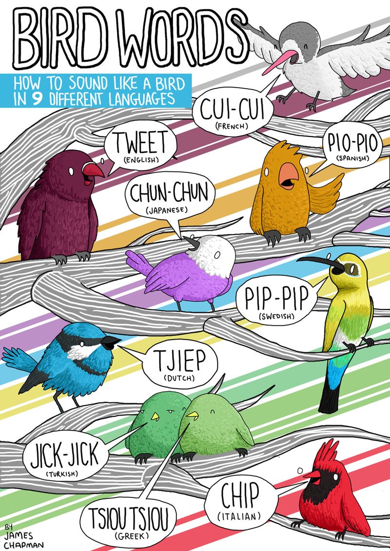 chapmangamo's tweet photo. Today's tweet theme is BIRDS! The flappy guys from the up above. I'll be posting bird-related wisdom from around the world all day! https://t.co/WArKItOUL0