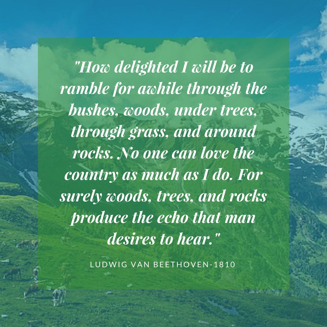 Fort Worth Youth Orchestra tweet media